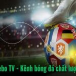 Ve Bo TV – Thiên đường bóng đá trực tuyến cho fan cuồng trái bóng tròn
