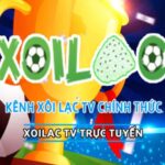 Theo dõi lịch thi đấu bóng đá sớm nhất tại trang trực tiếp bóng đá HD XoilacTV